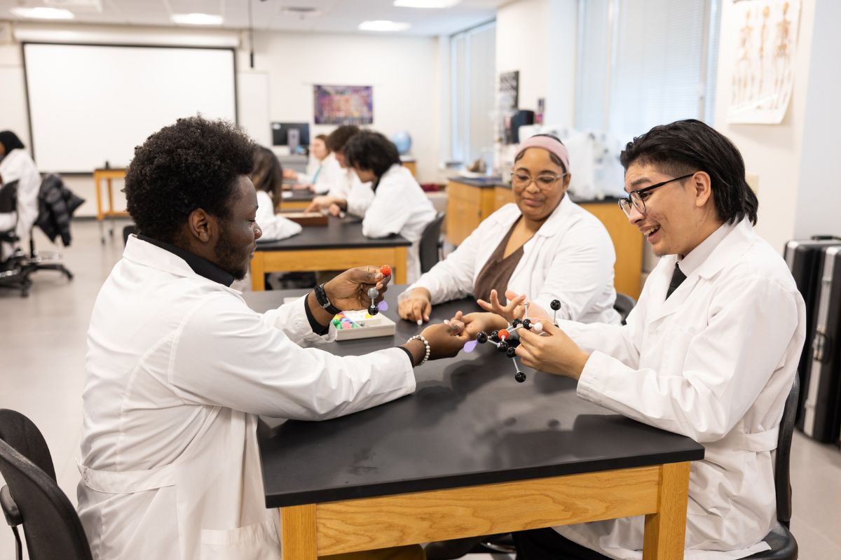 Students in a science lab working with molecule models