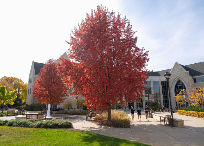 Large tree with sun shining through the autumn leaves and a student with a backpack walking under its shade.